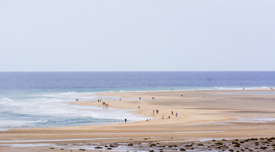 ¿Qué ver y hacer en Fuerteventura? Lo mejor de Fuerteventura para tus vacaciones.